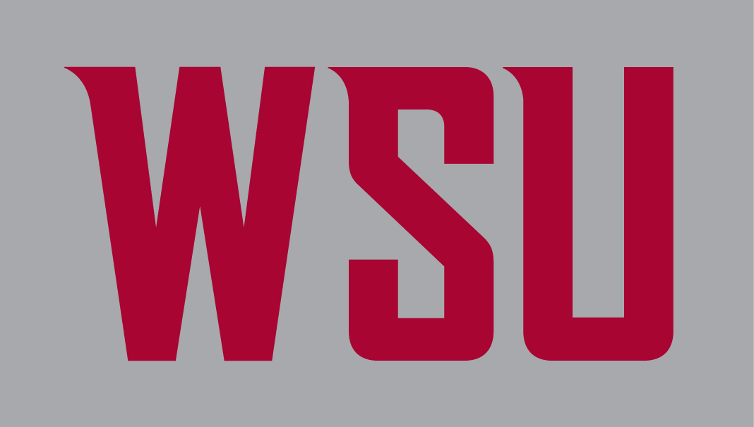 Washington State Cougars 2011-Pres Wordmark Logo v4 diy fabric transfer